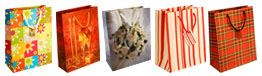 Luxury Paper Gift Bags